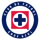蓝十字logo