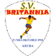 SV不列颠logo